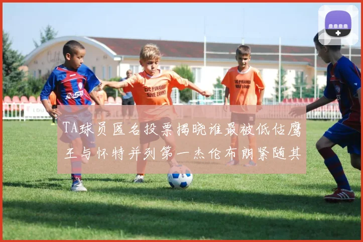 TA球员匿名投票揭晓谁最被低估鹰王与怀特并列第一杰伦布朗紧随其后